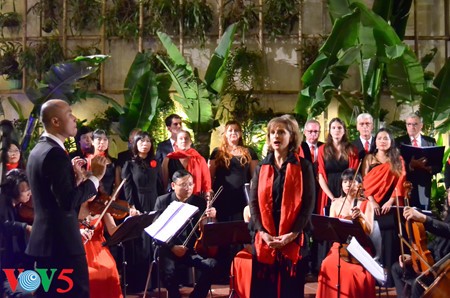 "Sức sống mới” – dàn nhạc giao hưởng tre nứa duy nhất tại Việt Nam - ảnh 1